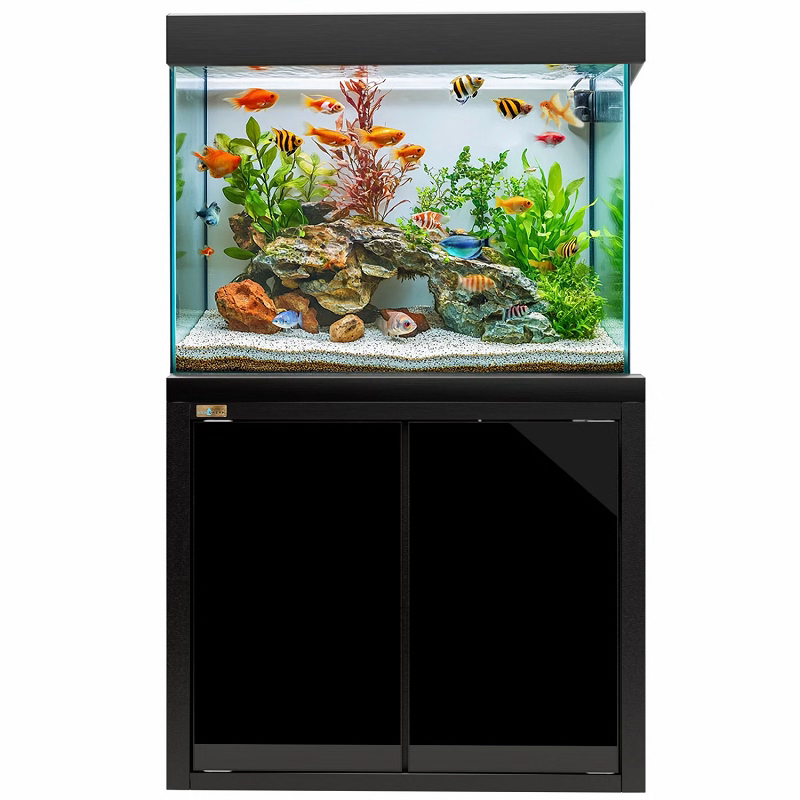 50 Gallon Aquarium Black Tempered Glass