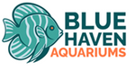 Blue Haven Aquariums