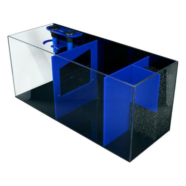 Front view of the Bashsea Bio Fuge Rimless Sump 36-14-16 in blue.