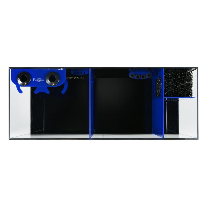 Top view of the Bashsea Bio Fuge Rimless Sump 36-14-16 in blue