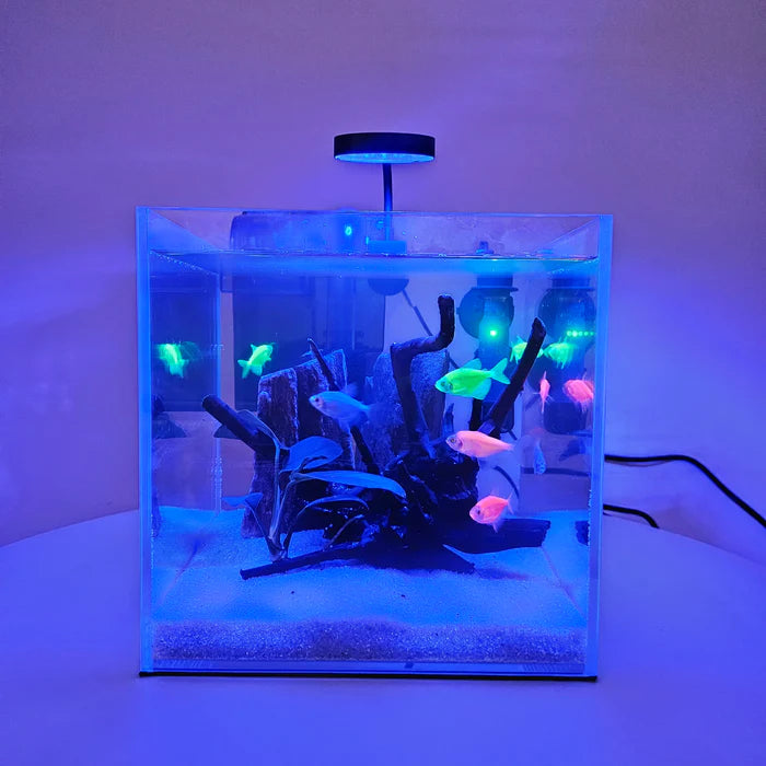 2.5" Clip-on Blue Spectrum USB LED Light with In-Line Controller