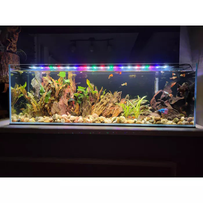 Ultra Low Iron Bookshelf Aquarium Kit