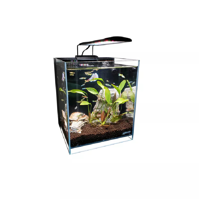 High Output 5" Full Spectrum LED Light with Mounting Bracket