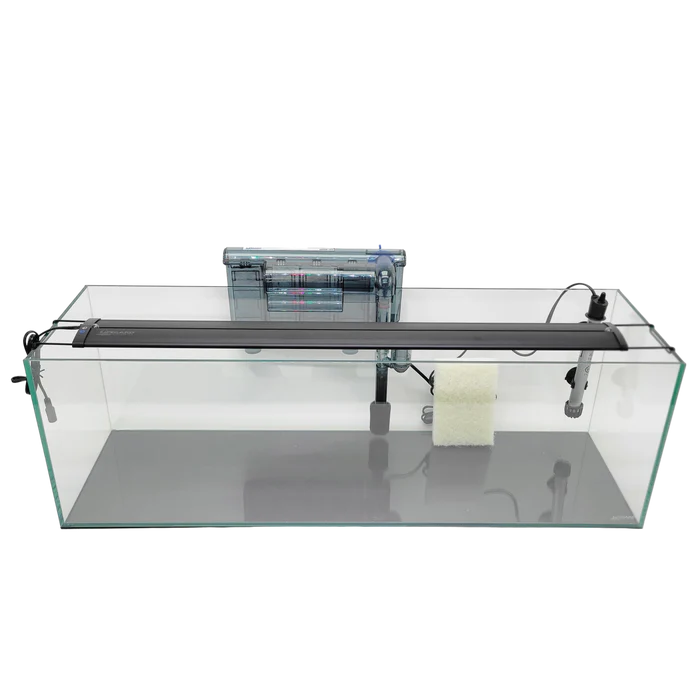 Clear Glass Bookshelf Aquarium Kit